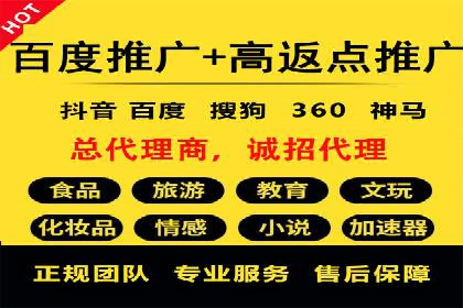 百度推广实战：成功案例解析